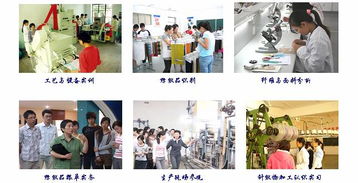 對(duì)外技術(shù)服務(wù)與培訓(xùn) 提升企業(yè)核心競爭力的雙輪驅(qū)動(dòng)
