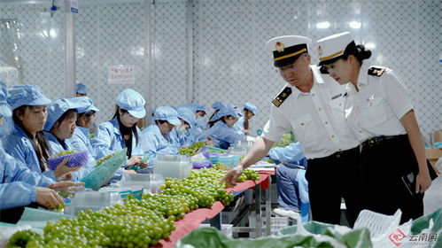 大理州2023年外貿(mào)進出口總值大幅增長78.8%，農(nóng)產(chǎn)品出口表現(xiàn)亮眼