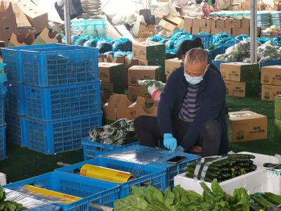 守護“菜籃子”與“菜園子” 疫情期間農(nóng)產(chǎn)品穩(wěn)產(chǎn)保供的實踐與探索